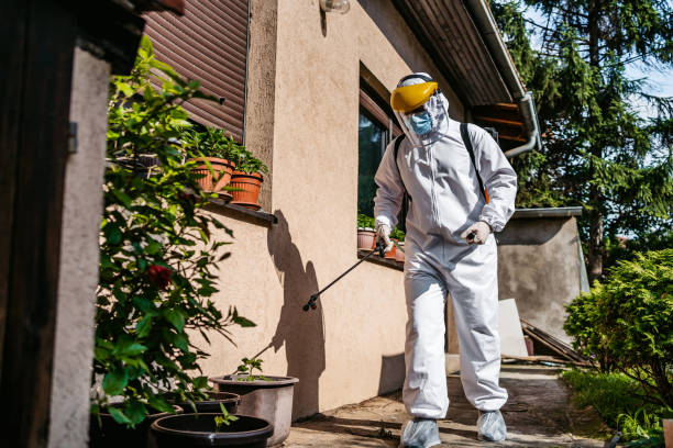 Best Pest Prevention Services  in Hamshire, TX