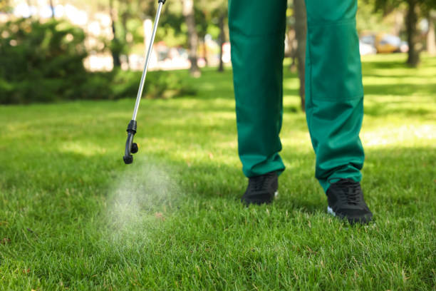 Best Best Pest Control Companies  in Hamshire, TX