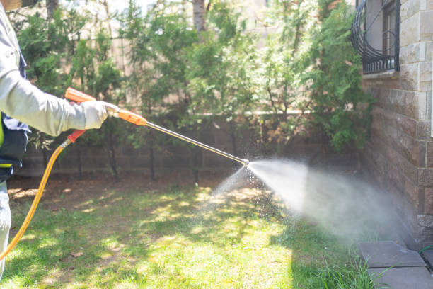 Best Residential Pest Control  in Hamshire, TX