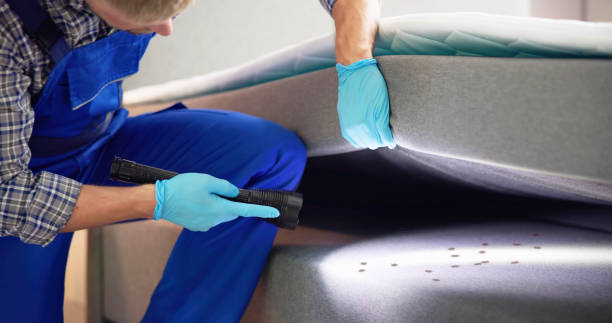 Best Emergency Pest Control  in Hamshire, TX