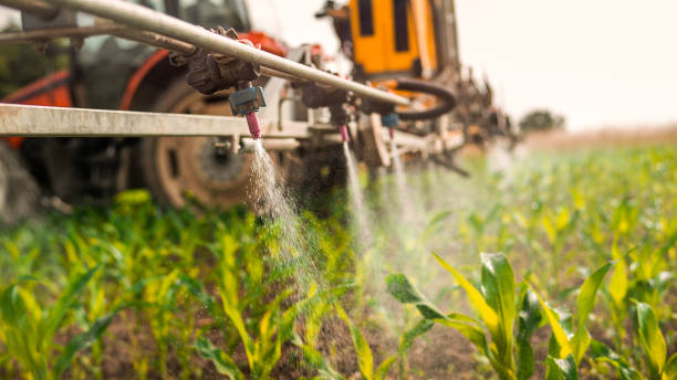 Best Mosquito Control Services  in Hamshire, TX